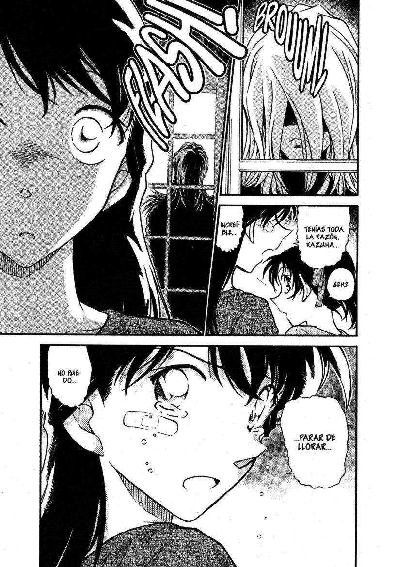 Detective Conan Capitulo 650: Mar de lágrimas página 16