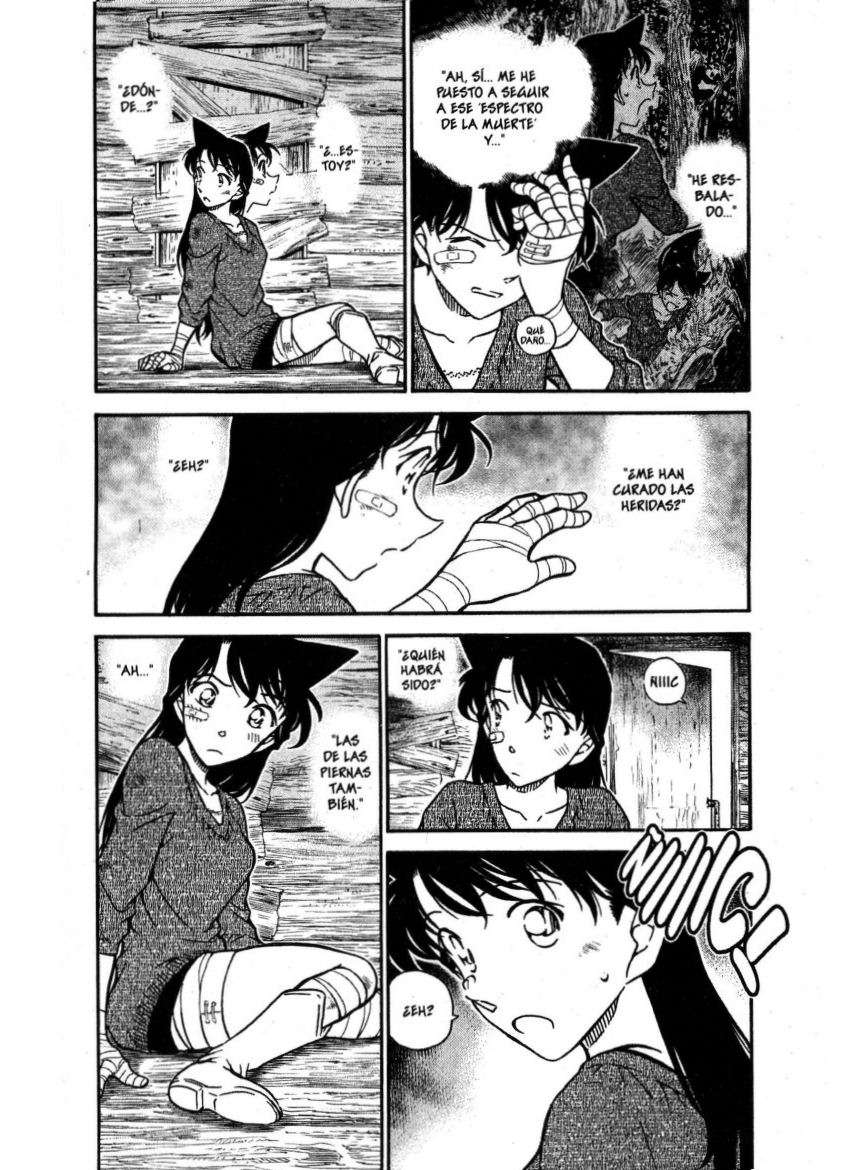 Detective Conan Capitulo 650: Mar de lágrimas página 3