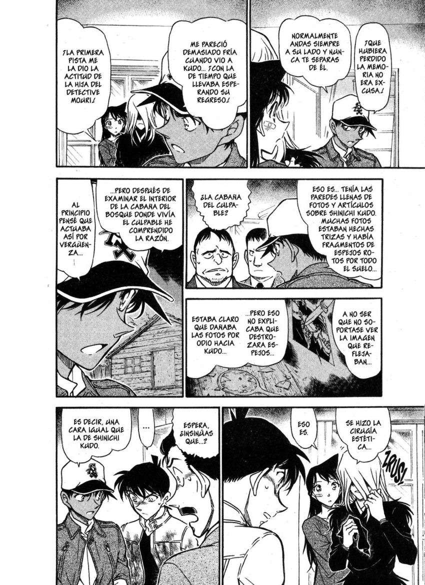 Detective Conan Capitulo 651: El verdadero página 7