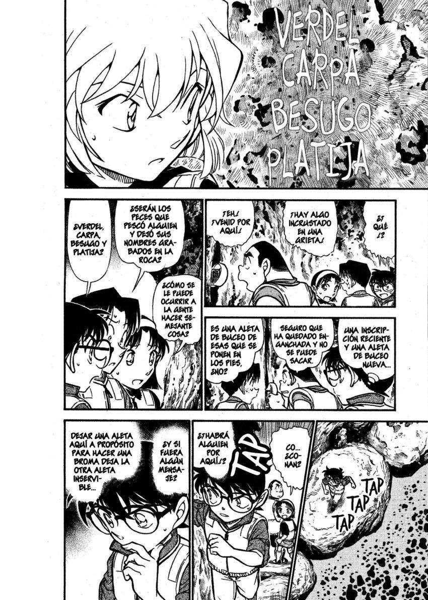 Detective Conan Capitulo 664: La roca Ikkaku página 13