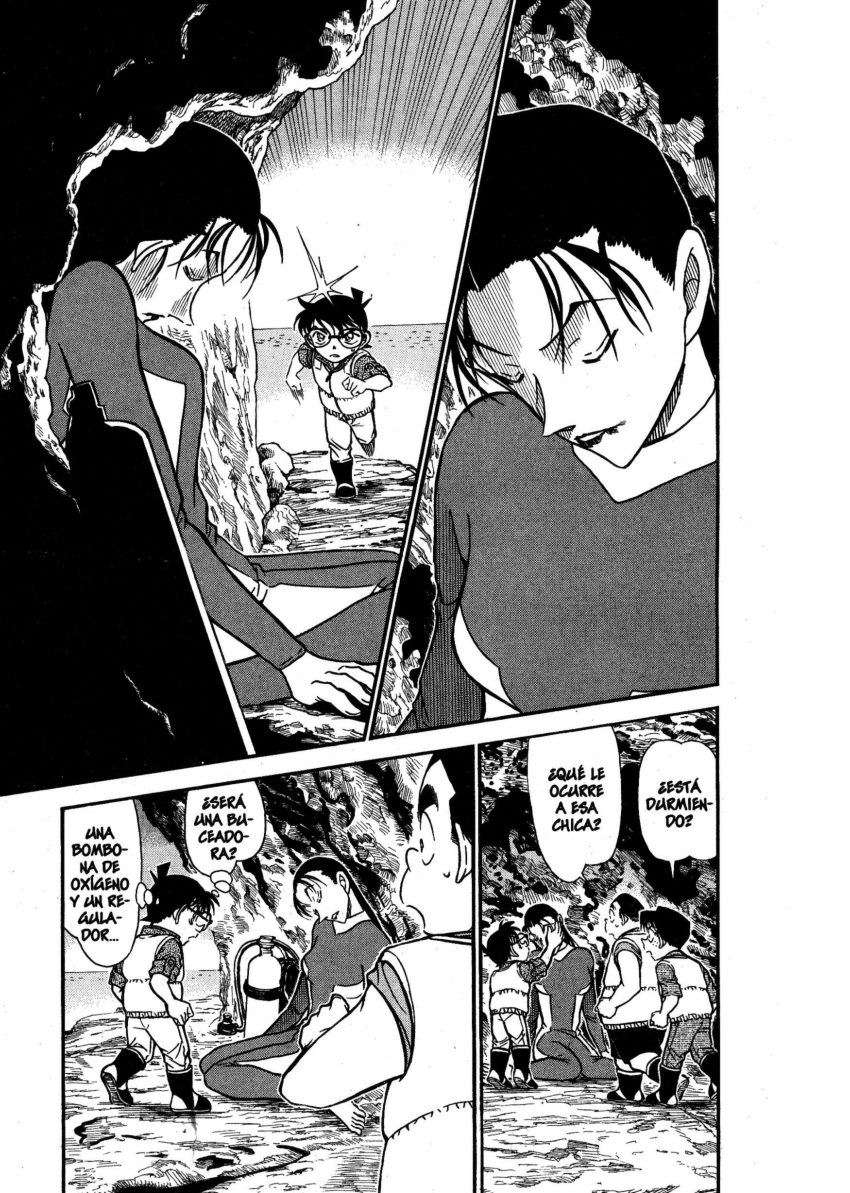 Detective Conan Capitulo 664: La roca Ikkaku página 14