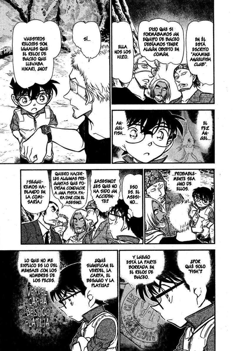 Detective Conan Capitulo 665: Caballa, carpa, besugo y lenguado página 14