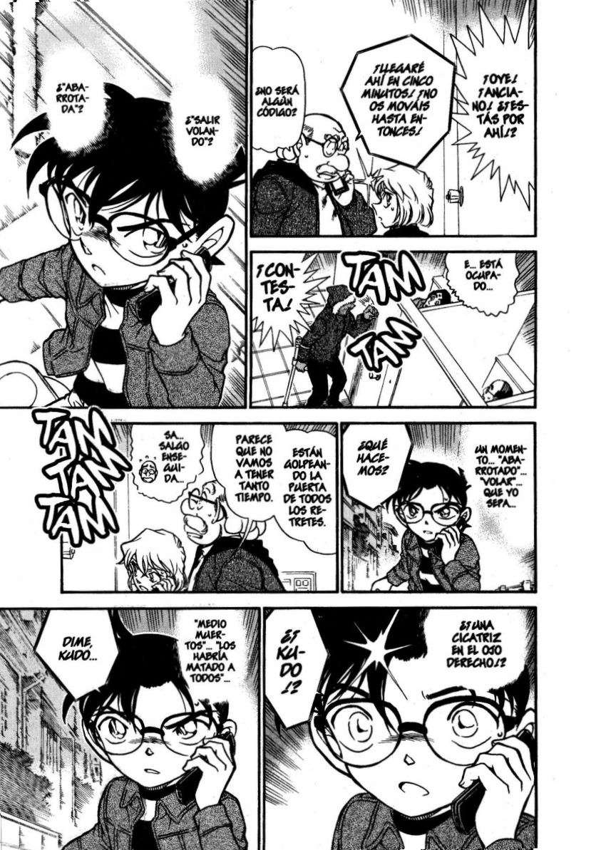 Detective Conan Capitulo 681: Semimatanza página 10
