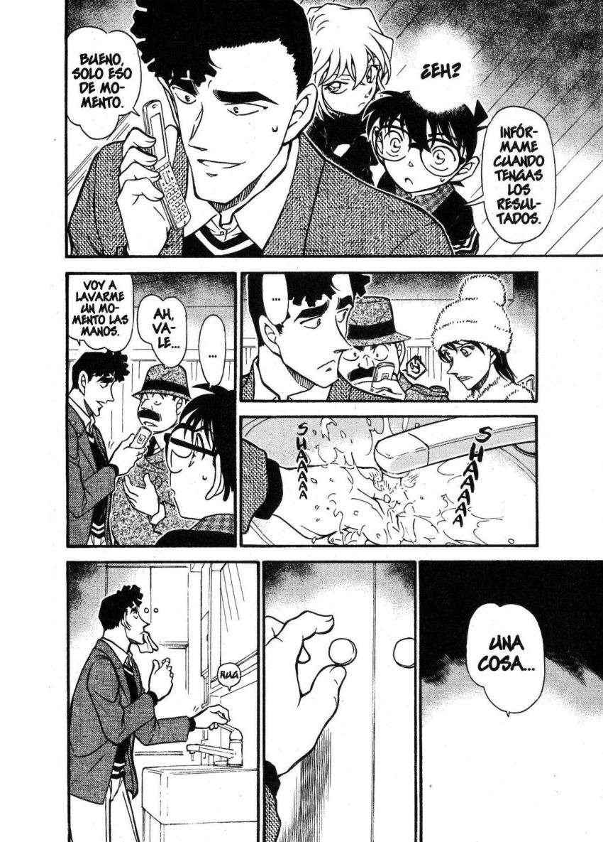 Detective Conan Capitulo 688: La flor de cerezo que cae página 13