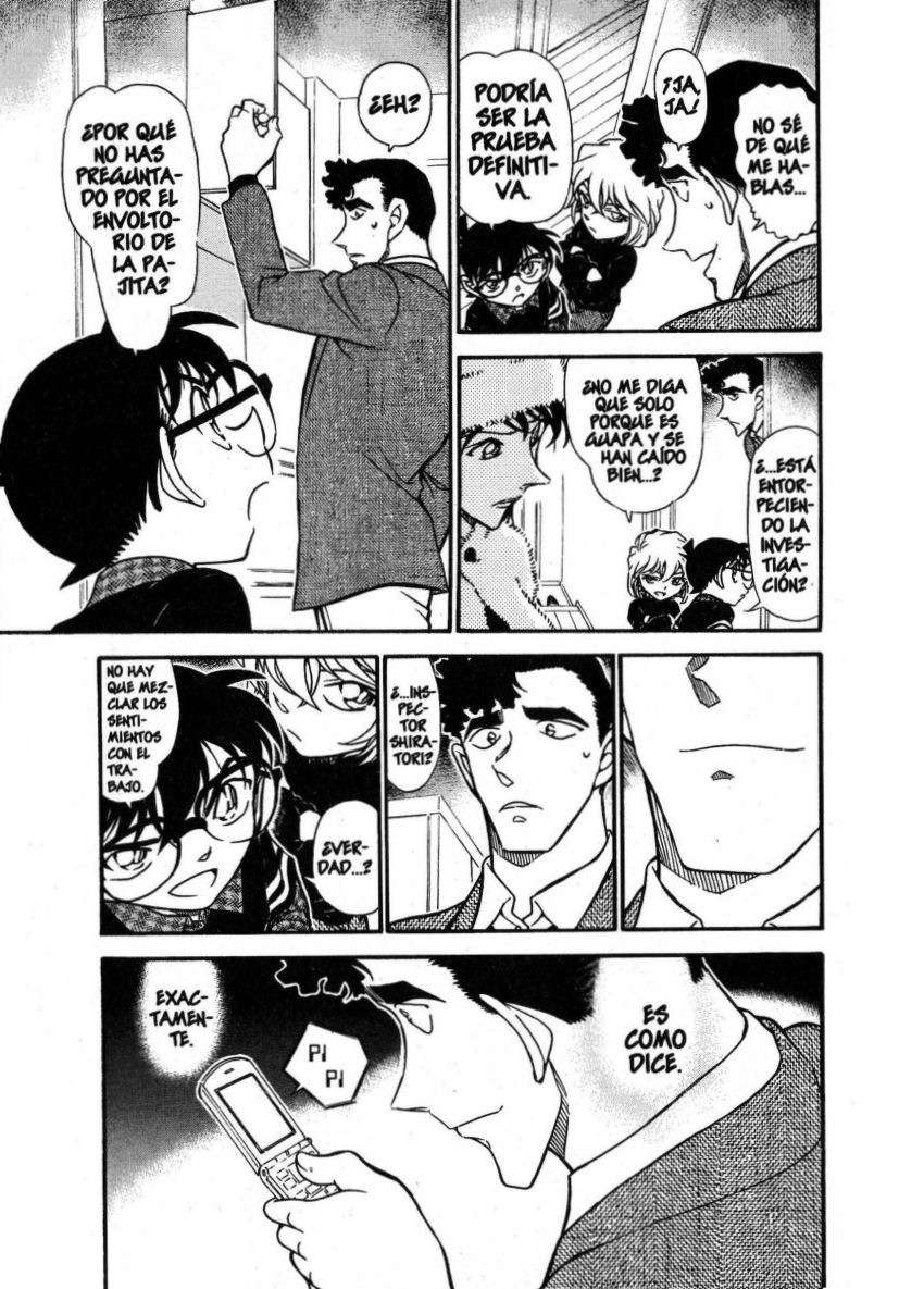Detective Conan Capitulo 688: La flor de cerezo que cae página 14
