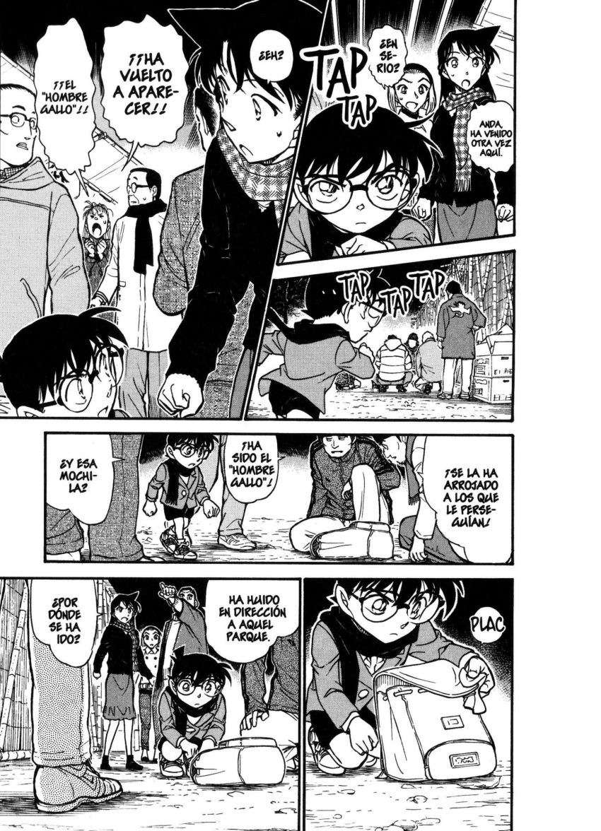 Detective Conan Capitulo 716: El festival del gallo página 12