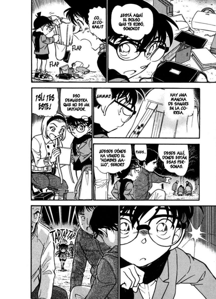 Detective Conan Capitulo 716: El festival del gallo página 13