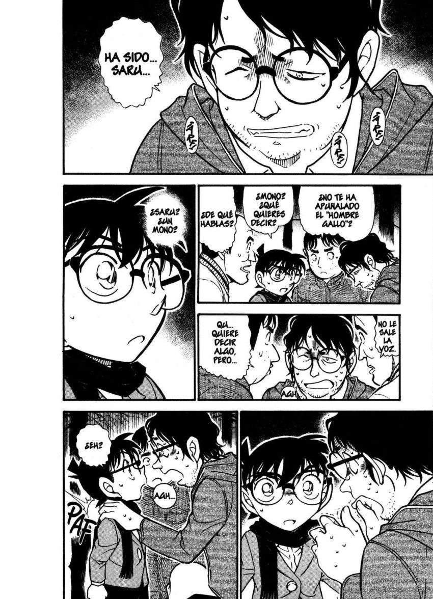 Detective Conan Capitulo 716: El festival del gallo página 15