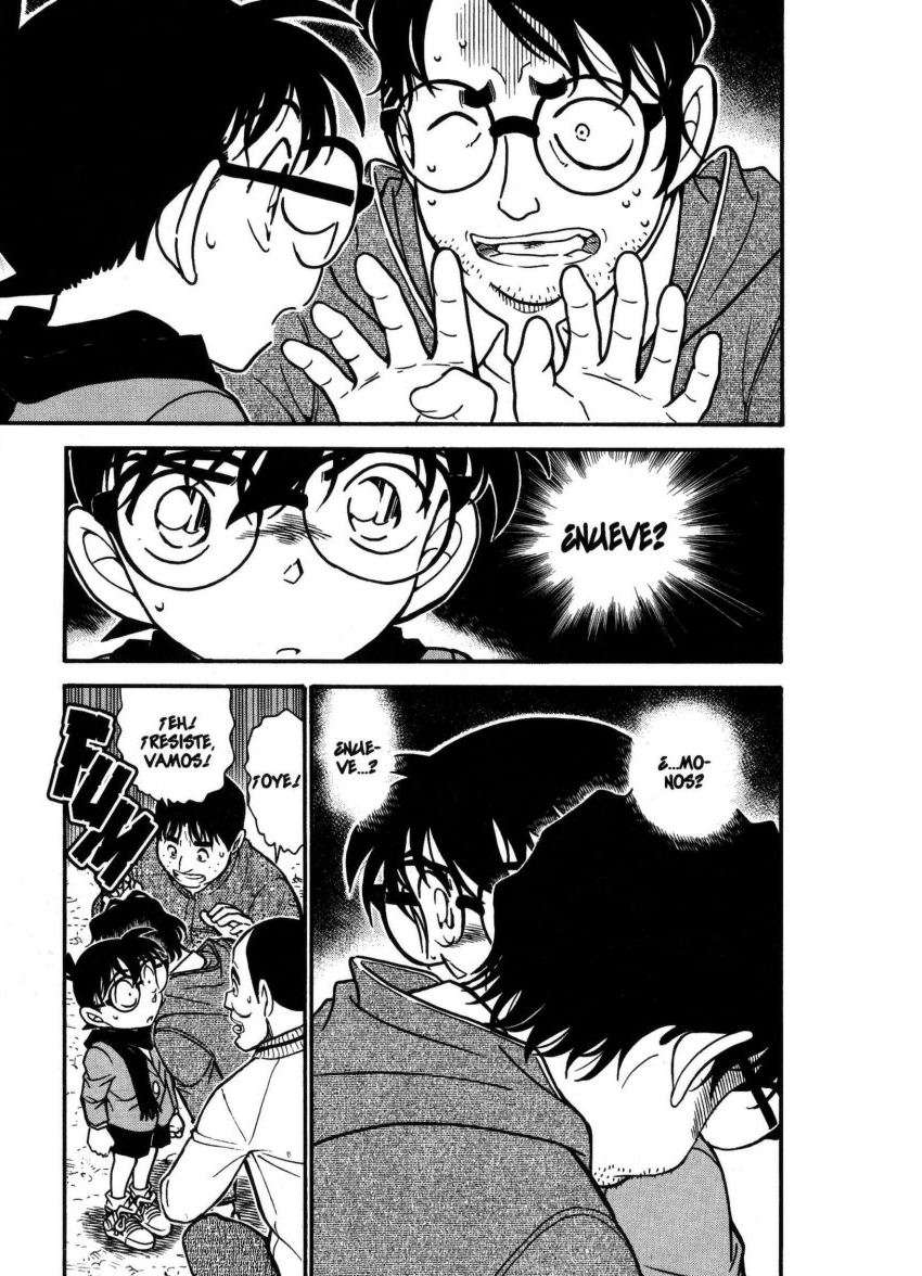 Detective Conan Capitulo 716: El festival del gallo página 16
