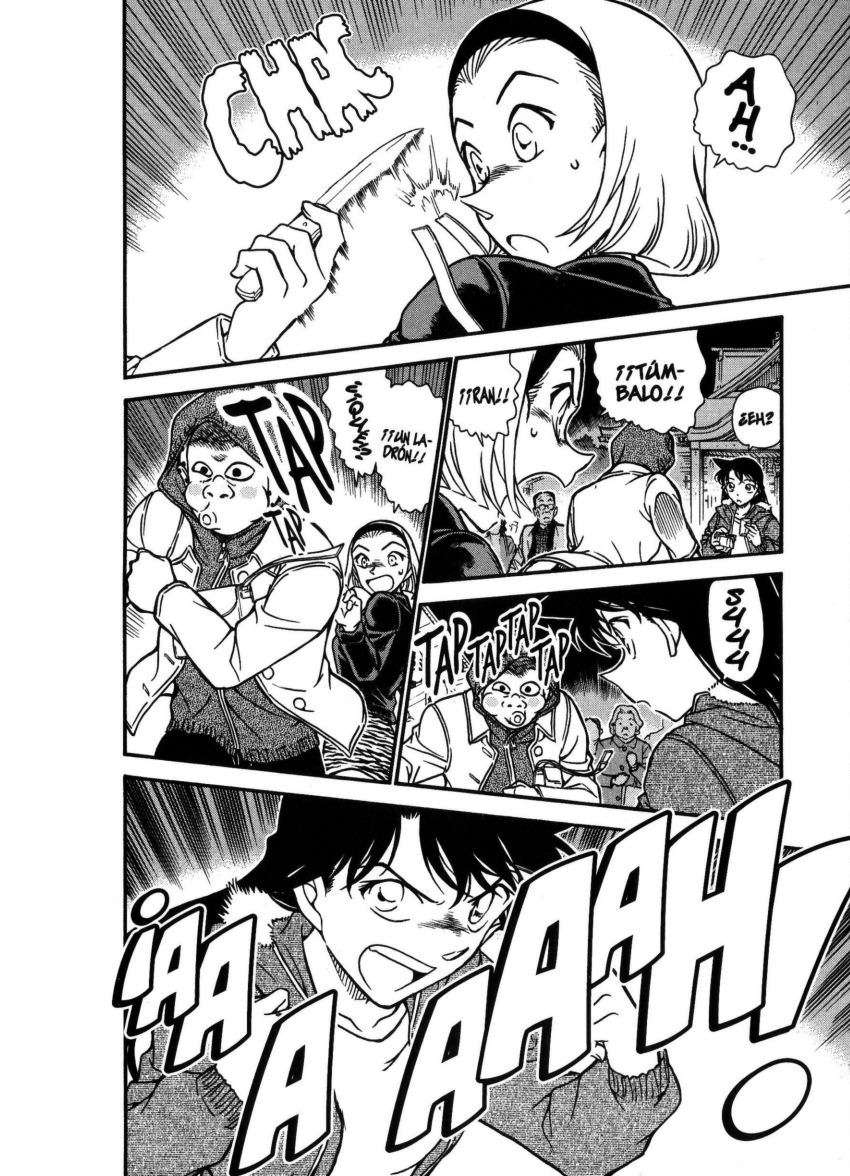 Detective Conan Capitulo 716: El festival del gallo página 7
