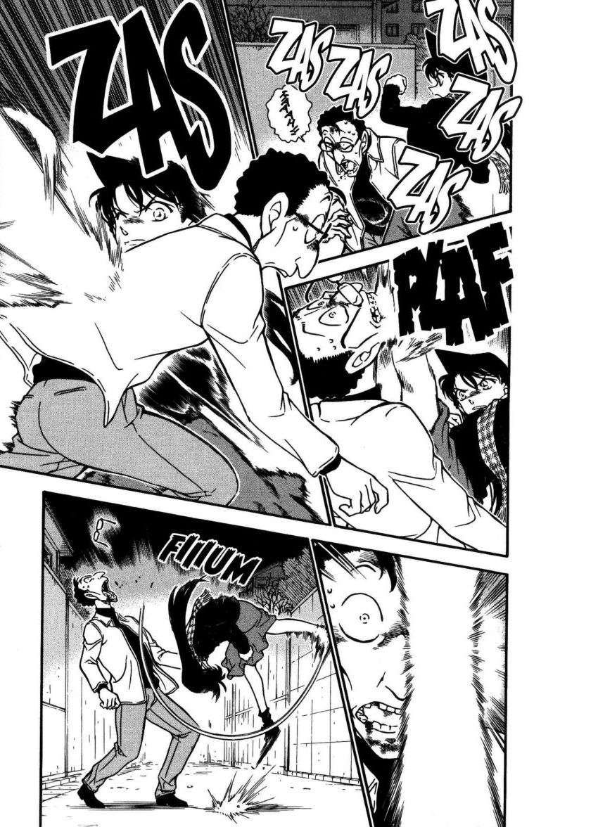 Detective Conan Capitulo 718: Pureza página 14