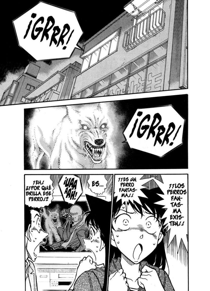 Detective Conan Capitulo 734: El perro endemoniado página 2