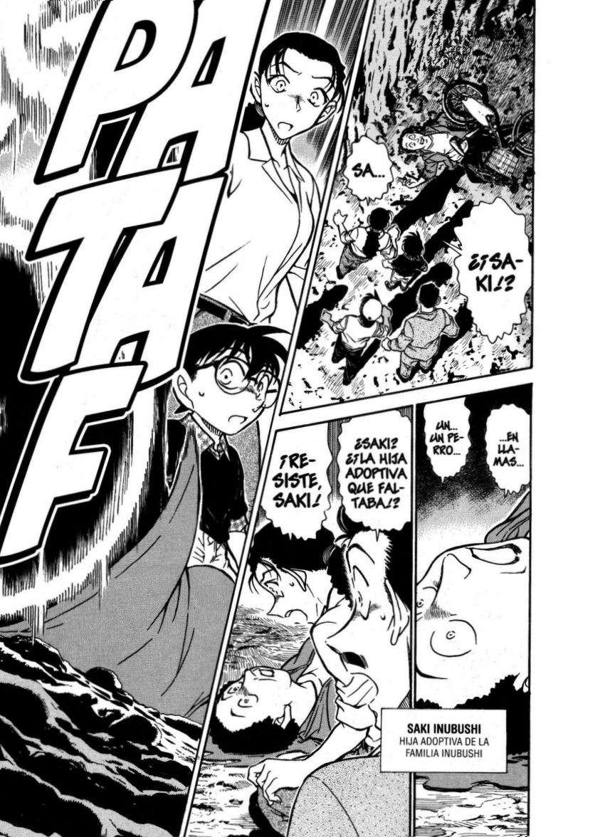 Detective Conan Capitulo 736: La familia Inubushi página 13