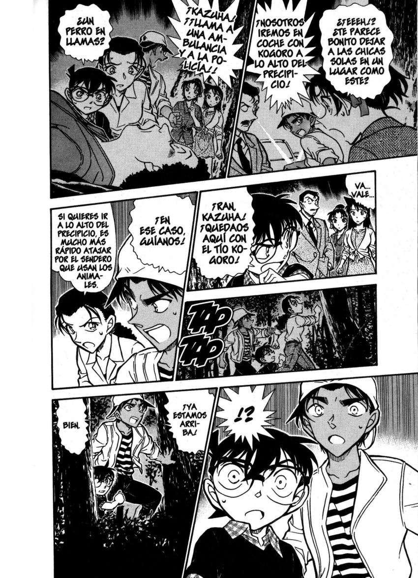 Detective Conan Capitulo 736: La familia Inubushi página 14