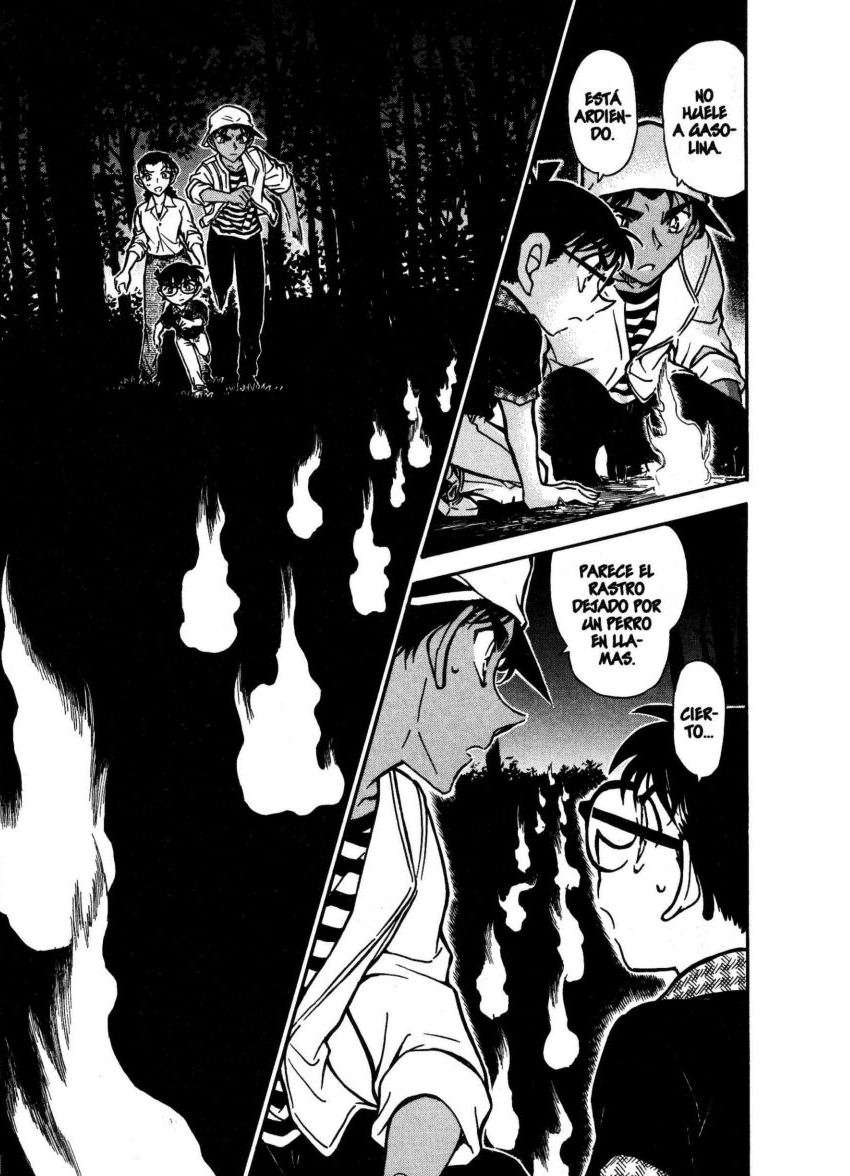 Detective Conan Capitulo 736: La familia Inubushi página 15