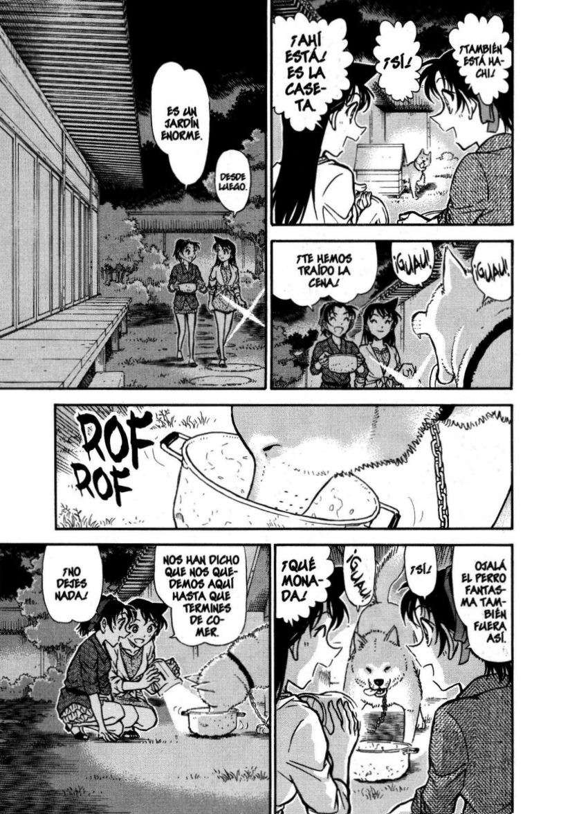Detective Conan Capitulo 737: Esfera página 14