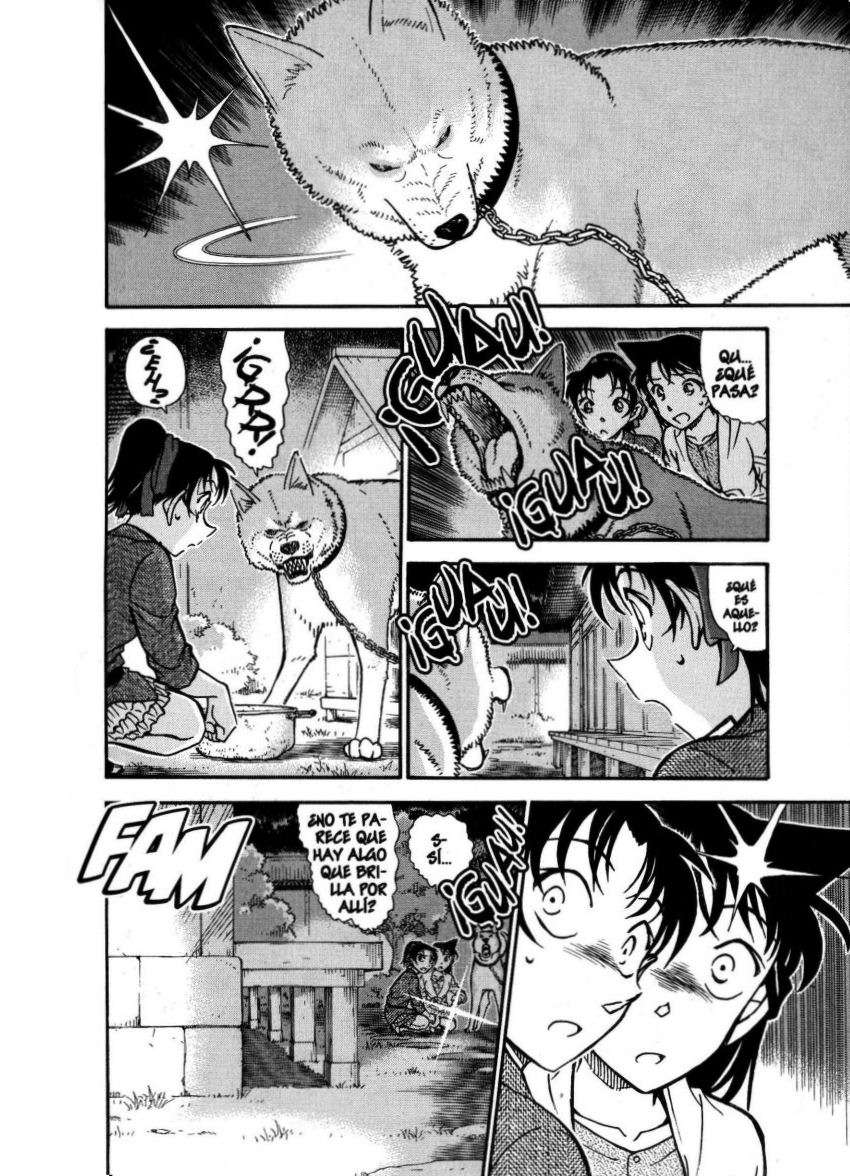 Detective Conan Capitulo 737: Esfera página 15