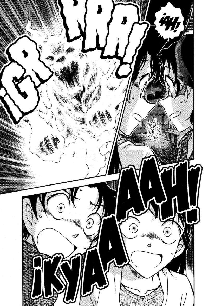 Detective Conan Capitulo 737: Esfera página 16