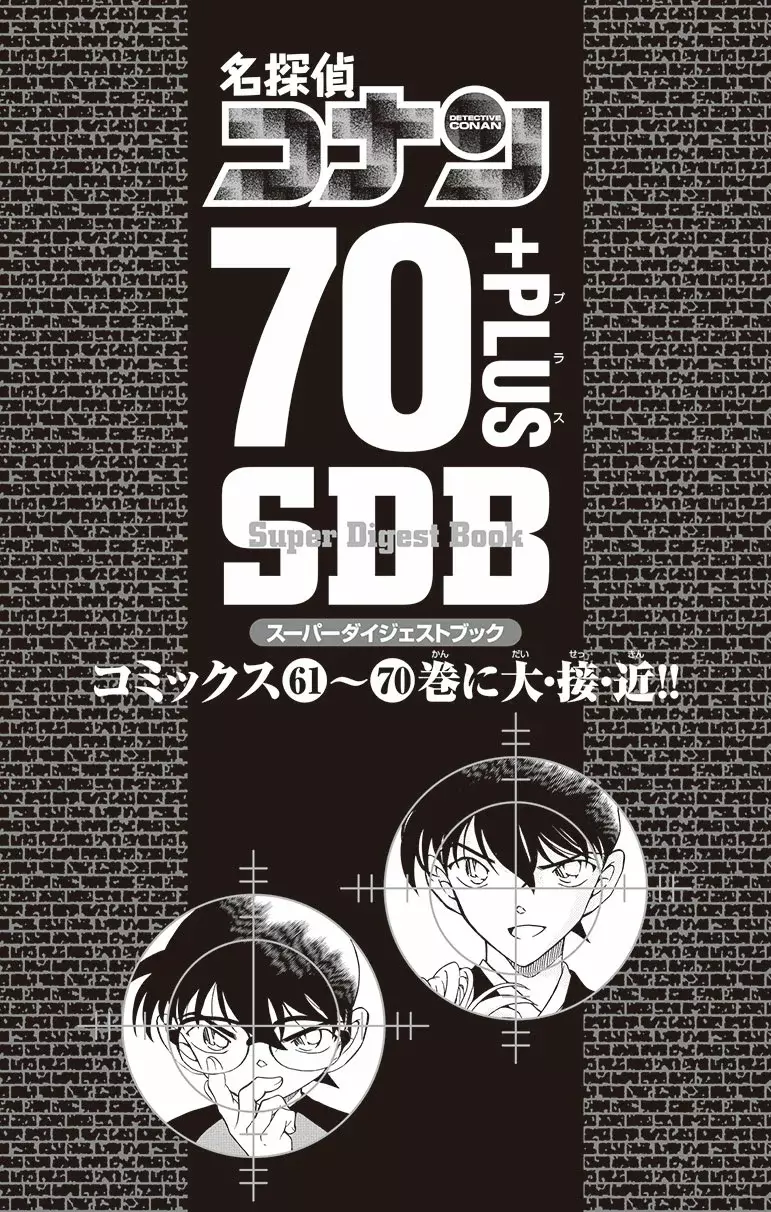 Detective Conan Capitulo 740.5: SDB 70+ página 2