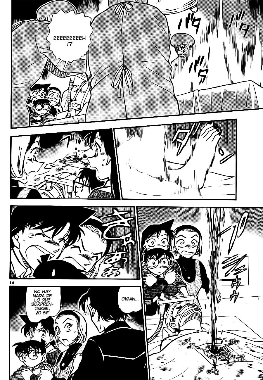 Detective Conan Capitulo 756: Una forma grotesca de morir página 14
