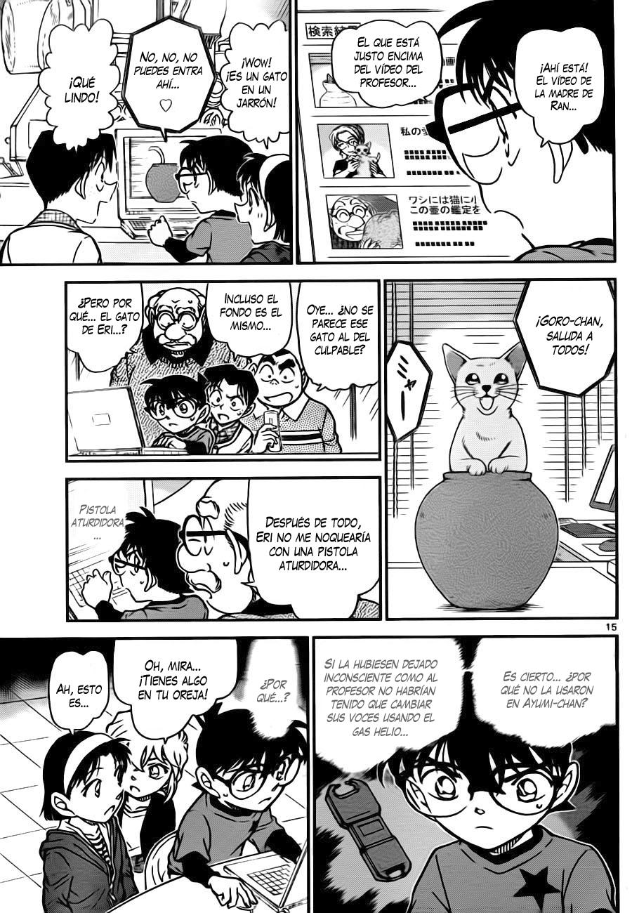Detective Conan Capitulo 776: Jarrón y gato página 15