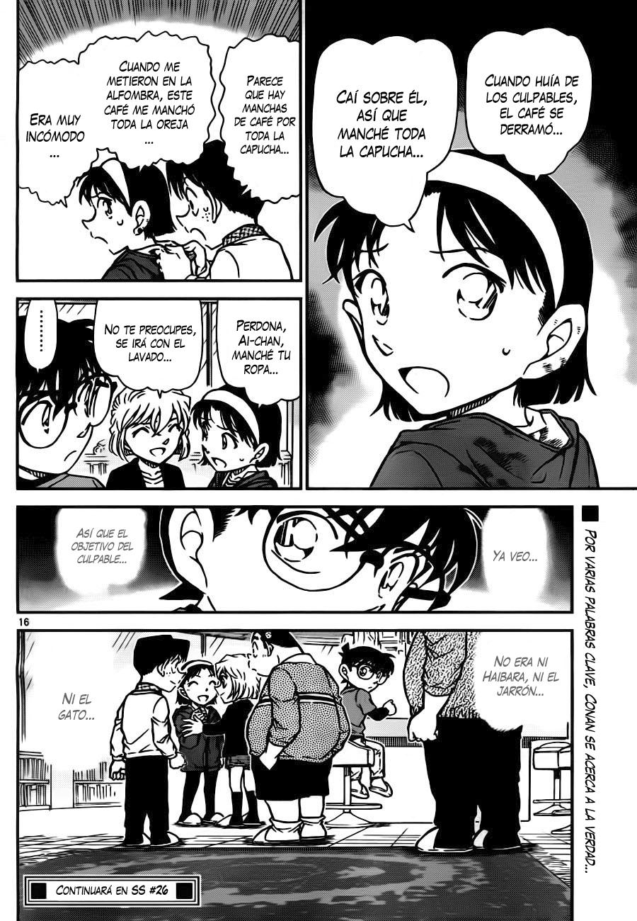 Detective Conan Capitulo 776: Jarrón y gato página 16