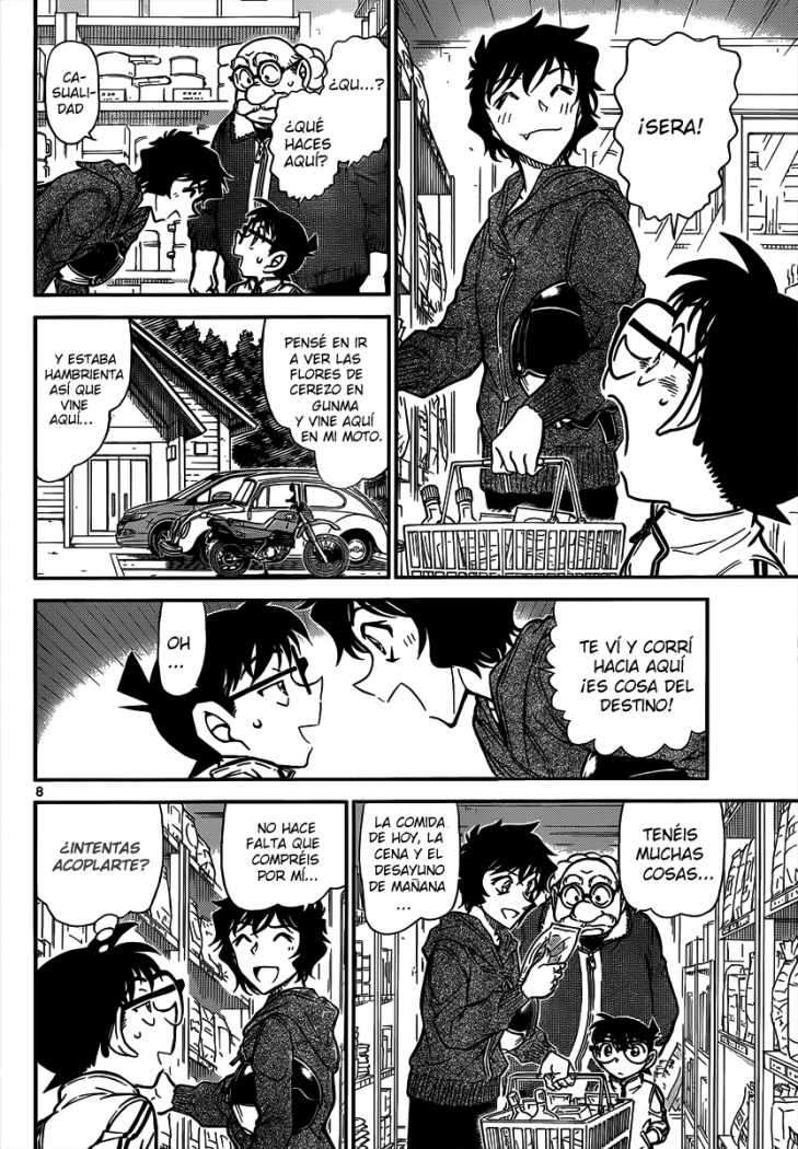 Detective Conan Capitulo 815: Territorio propio página 8