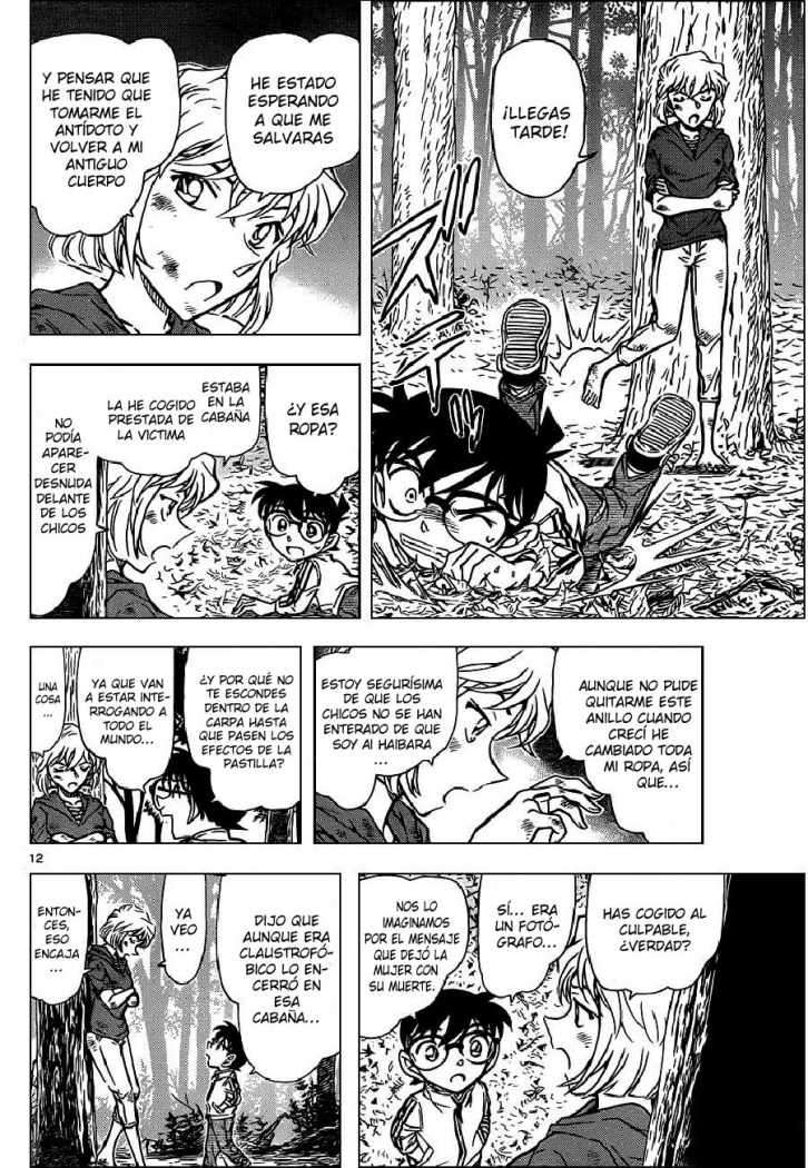 Detective Conan Capitulo 817: Figura solitaria a la luz del farol página 12