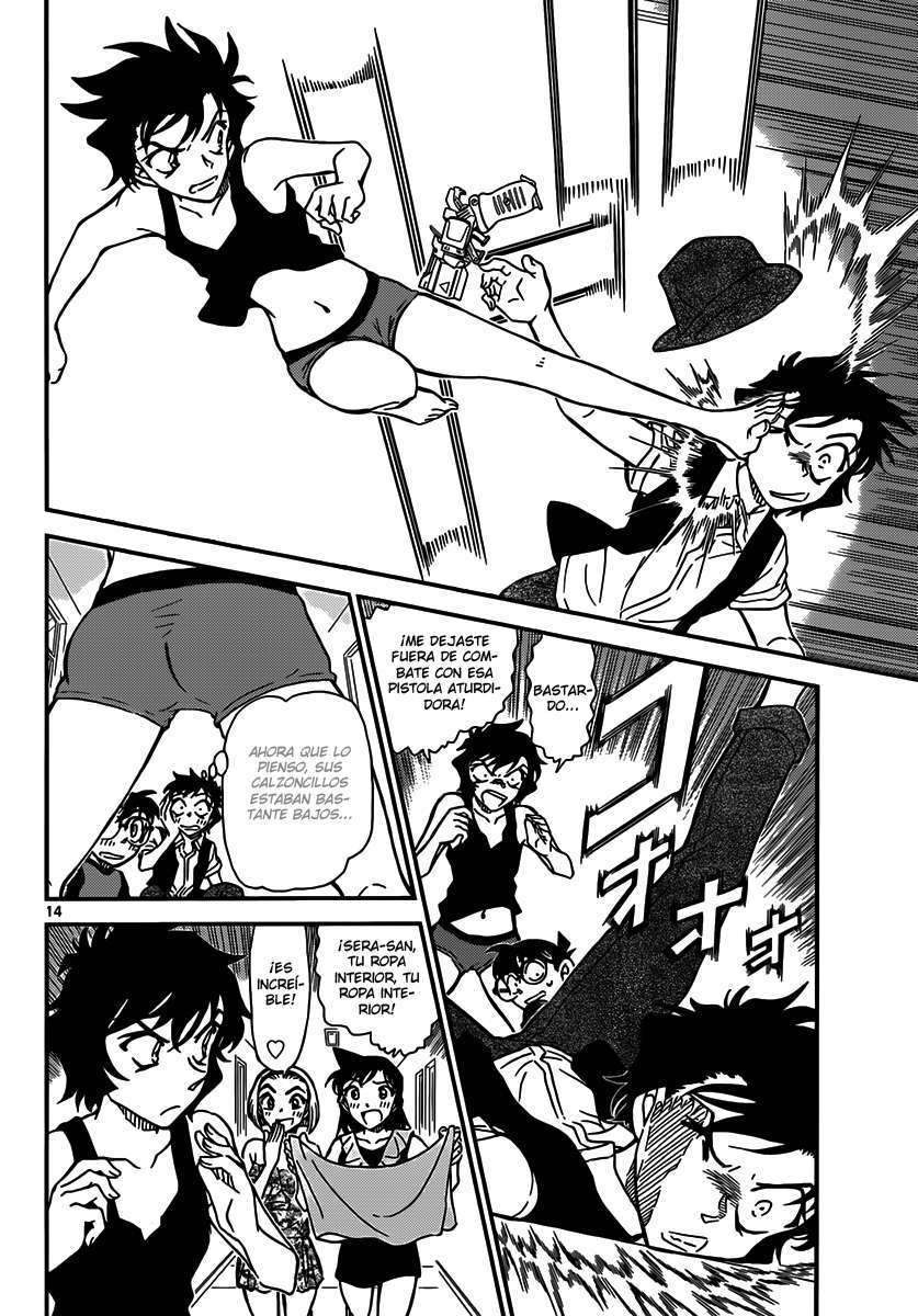 Detective Conan Capitulo 830: Piel derramada página 14