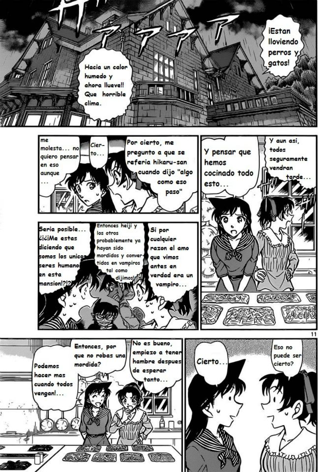Detective Conan Capitulo 838: La mitad de un fenómeno bizarro página 11