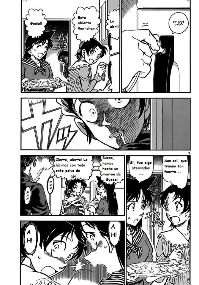 Detective Conan Capitulo 838: La mitad de un fenómeno bizarro página 3