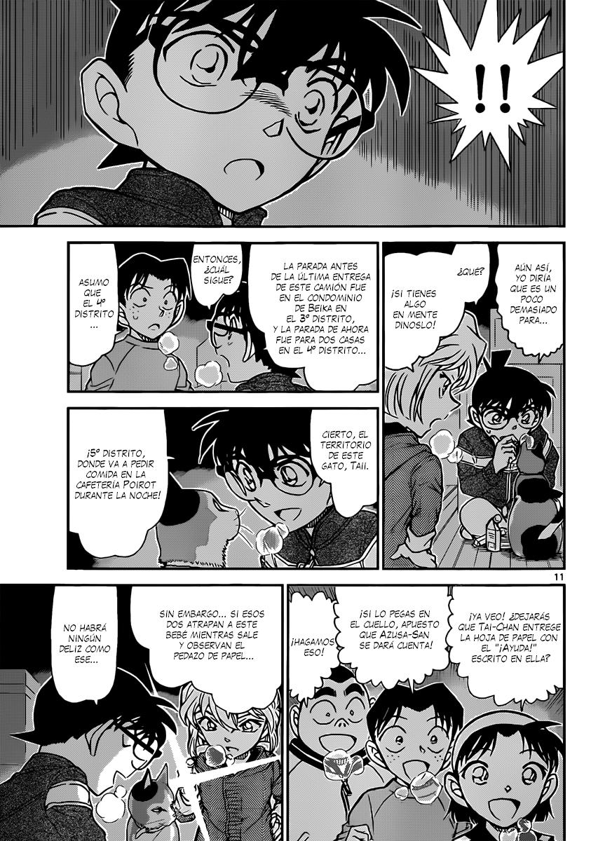 Detective Conan Capitulo 842: La entrega a domicilio de un gato página 12