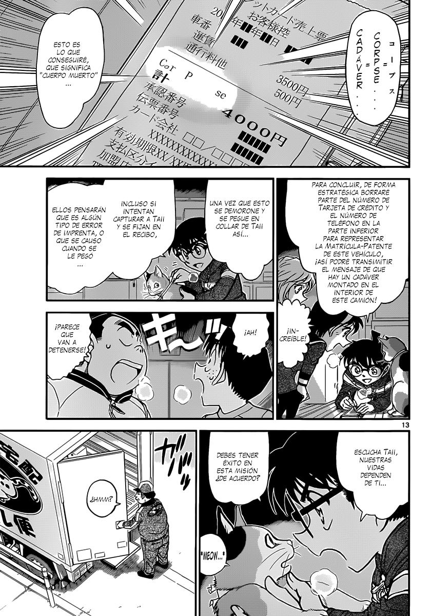 Detective Conan Capitulo 842: La entrega a domicilio de un gato página 14