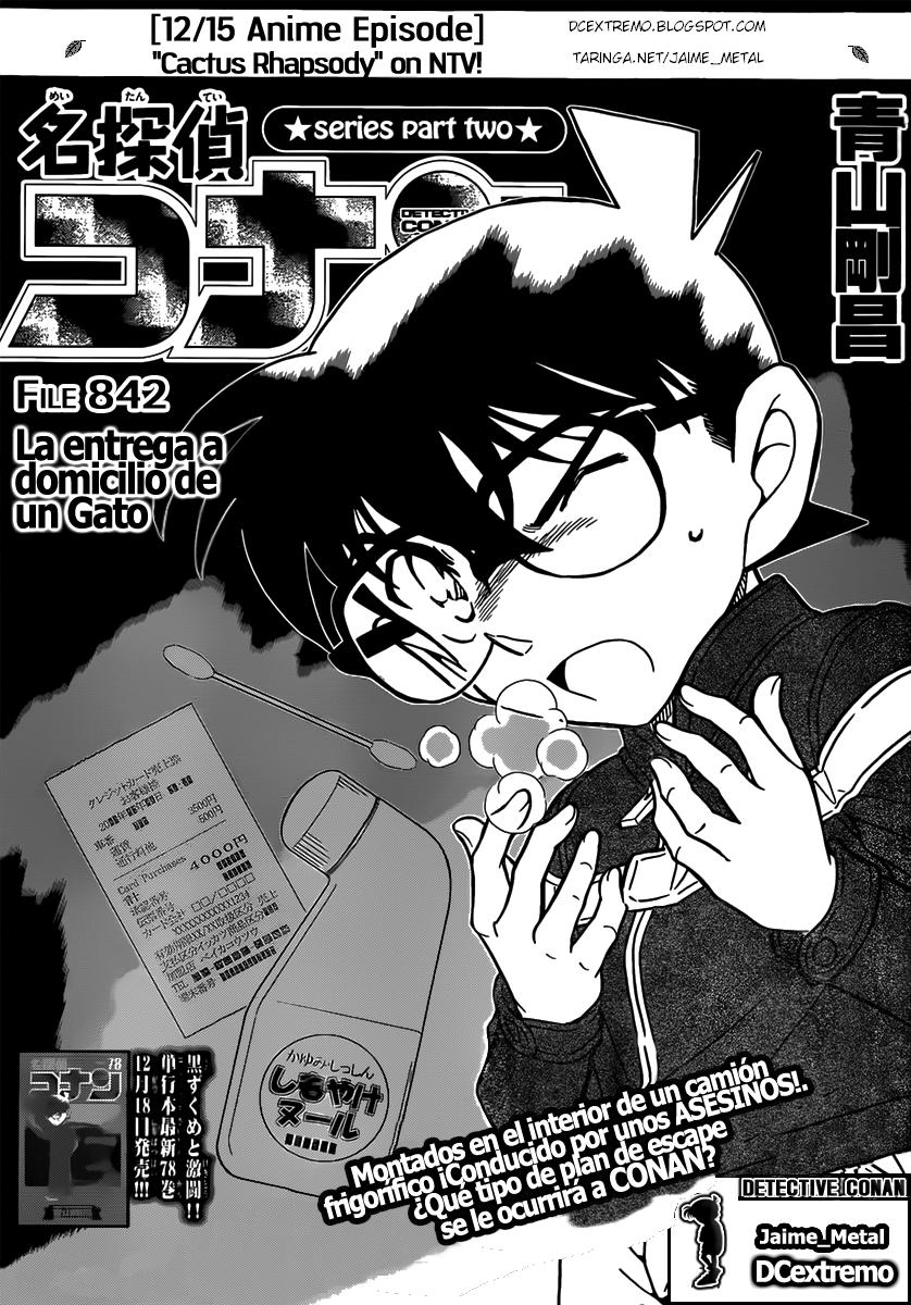 Detective Conan Capitulo 842: La entrega a domicilio de un gato página 2