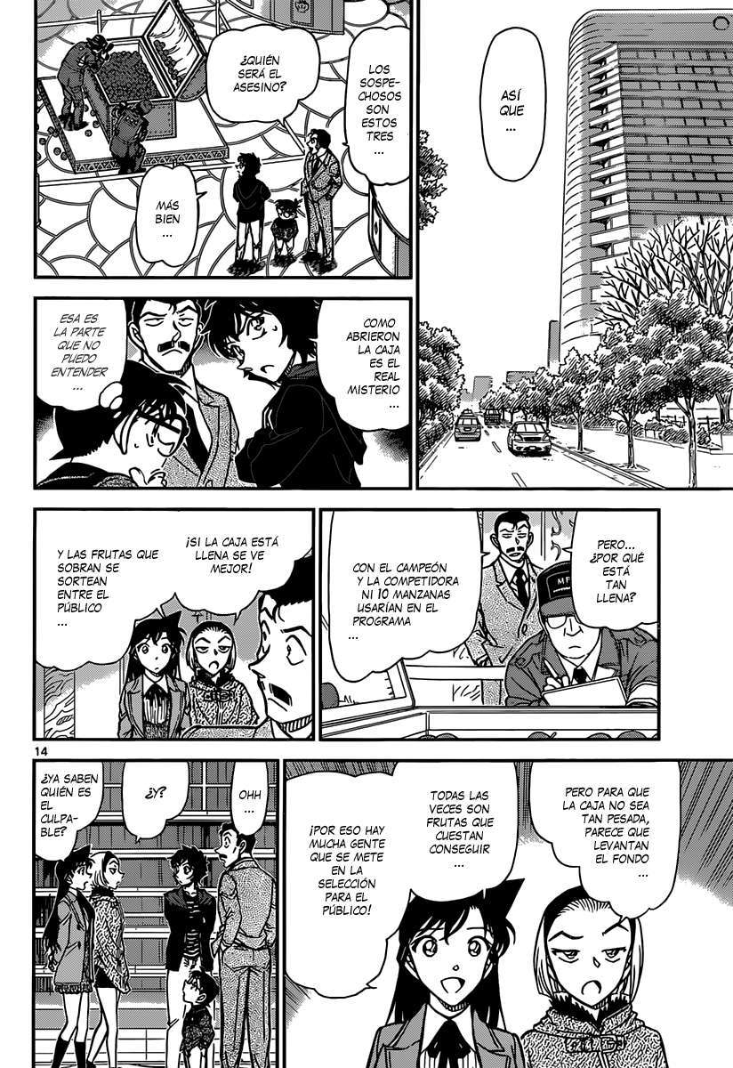 Detective Conan Capitulo 845: Nuestro territorio página 15