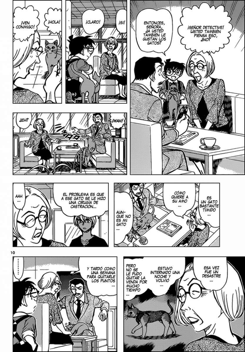 Detective Conan Capitulo 865: Taii, el gato cálico página 11