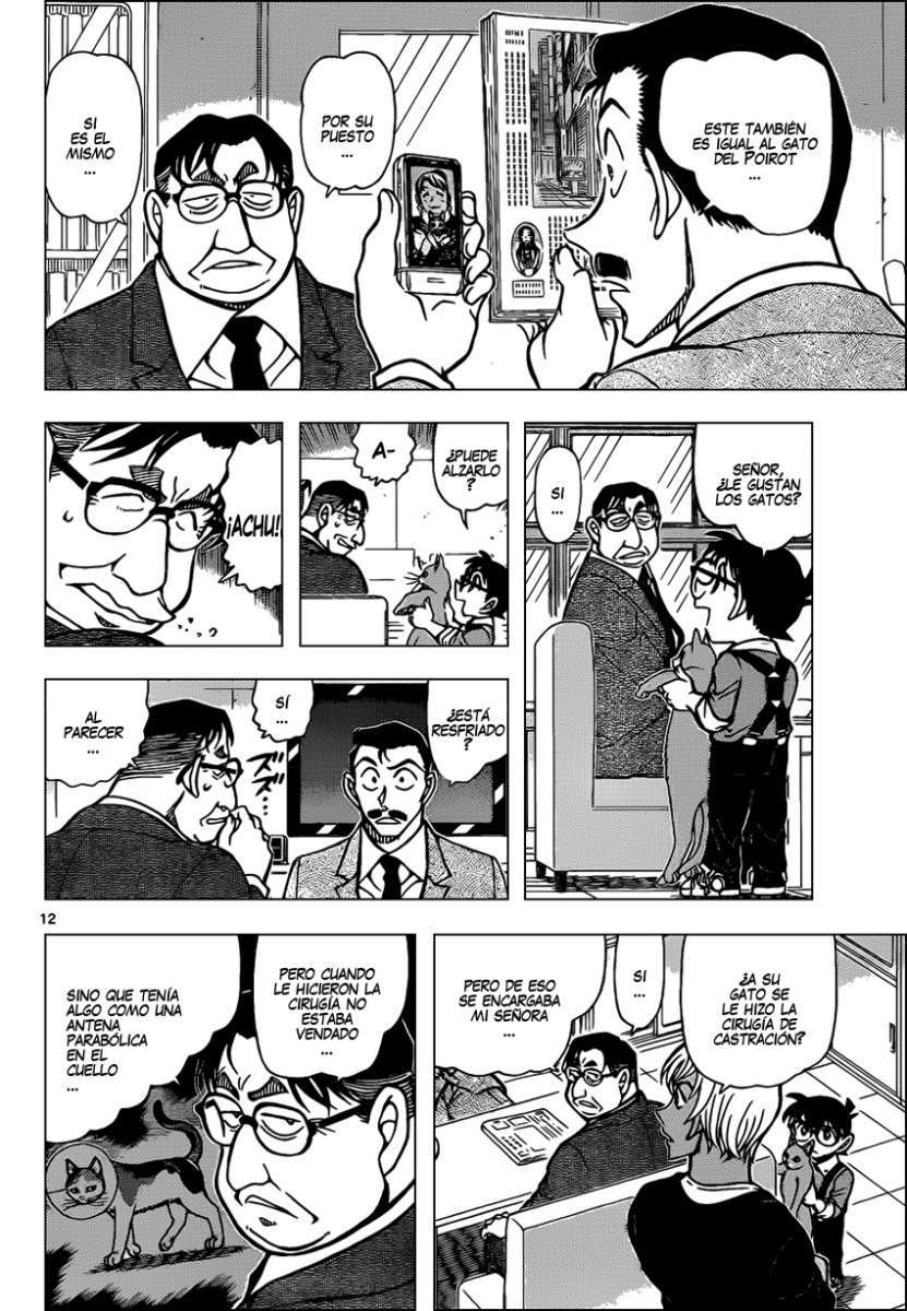 Detective Conan Capitulo 865: Taii, el gato cálico página 13