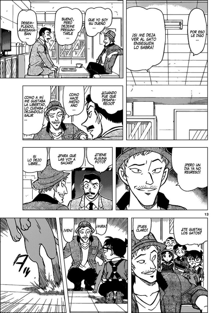Detective Conan Capitulo 865: Taii, el gato cálico página 14