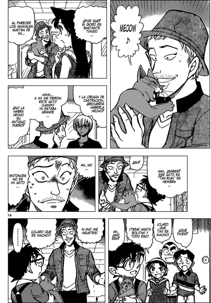 Detective Conan Capitulo 865: Taii, el gato cálico página 15