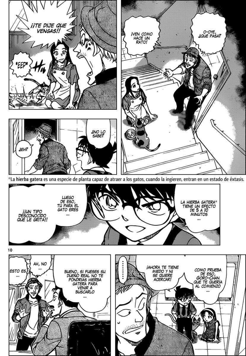 Detective Conan Capitulo 866: Un gato escondiendo sus garras página 11