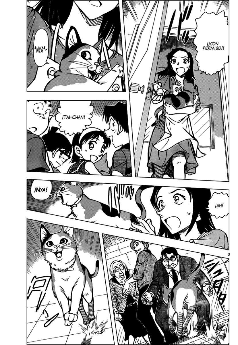 Detective Conan Capitulo 866: Un gato escondiendo sus garras página 4