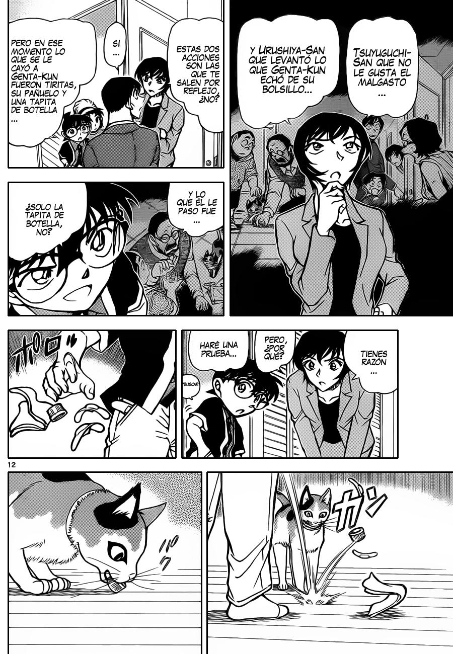 Detective Conan Capitulo 868: Gato de la suerte página 13