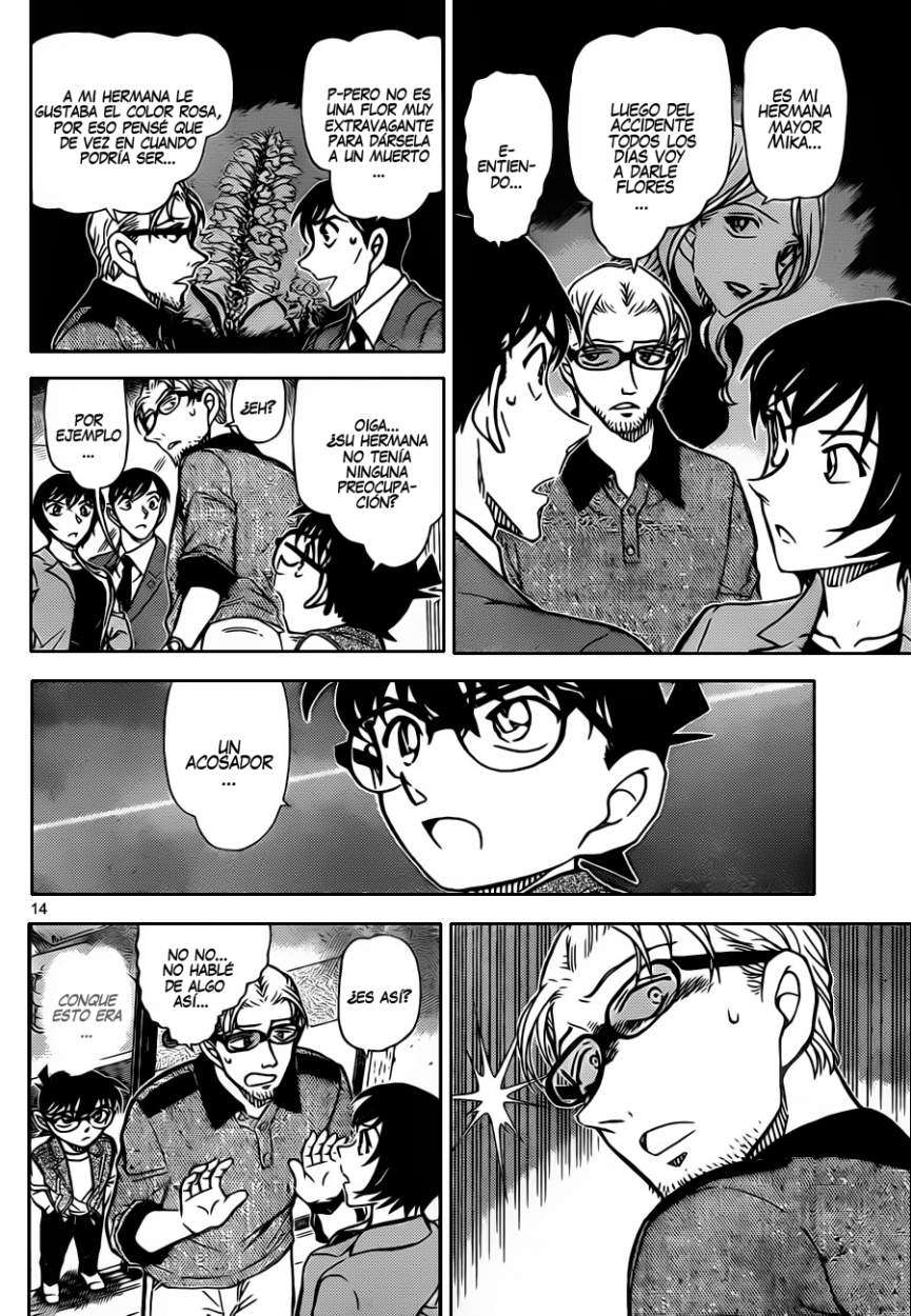 Detective Conan Capitulo 870: Cuando se cumple el deseo... página 15