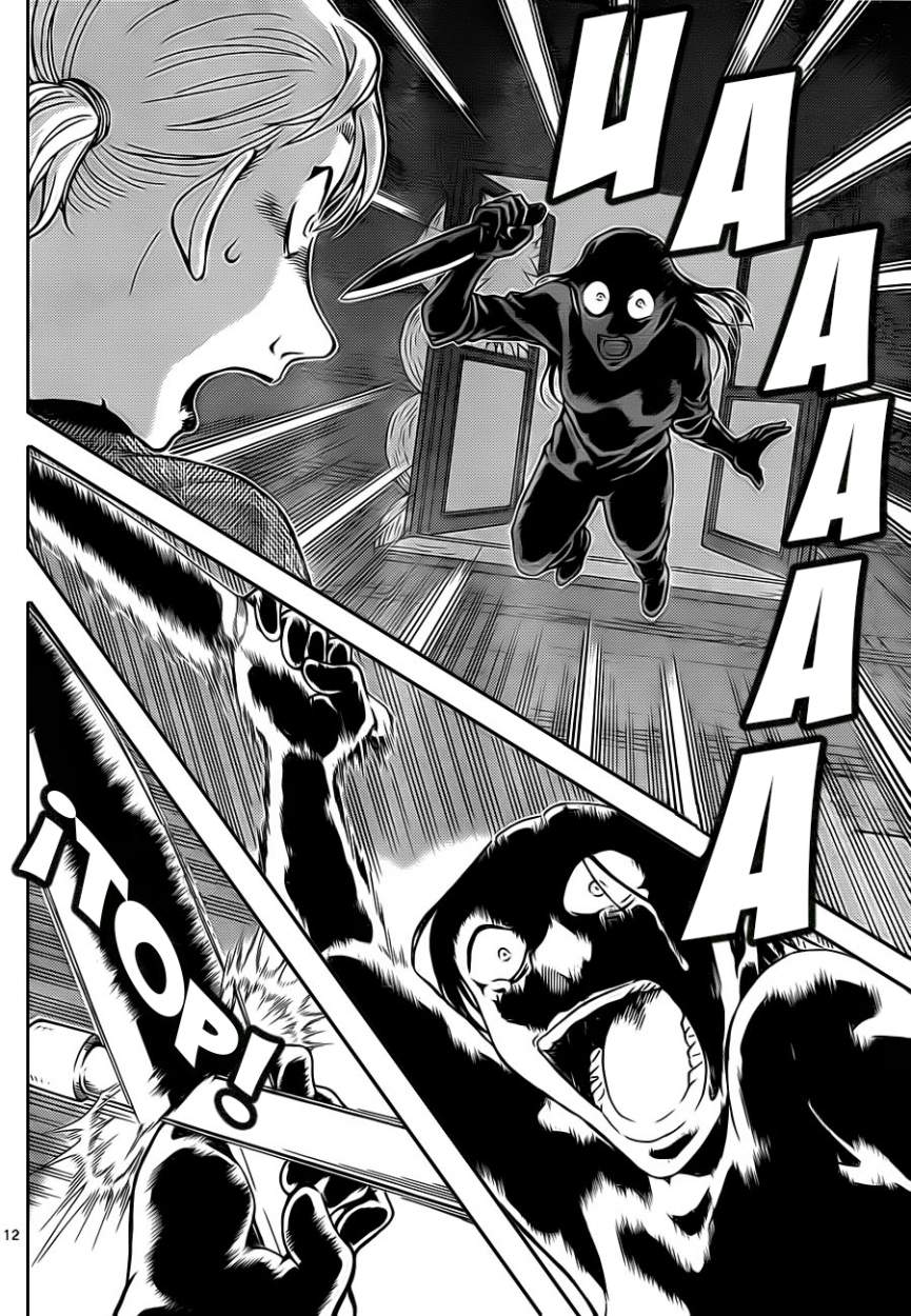 Detective Conan Capitulo 875: La roja tragedia página 13