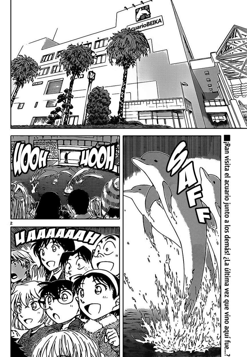 Detective Conan Capitulo 882: Recuerdos celestes página 3