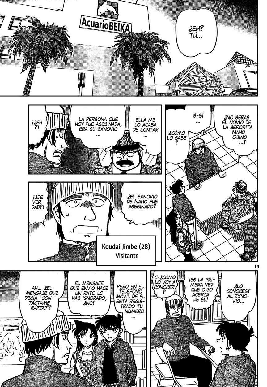 Detective Conan Capitulo 883: El Detective Escarlata página 13