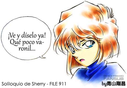 Detective Conan Capitulo 911: La ruta de acceso del Kamaitachi página 18