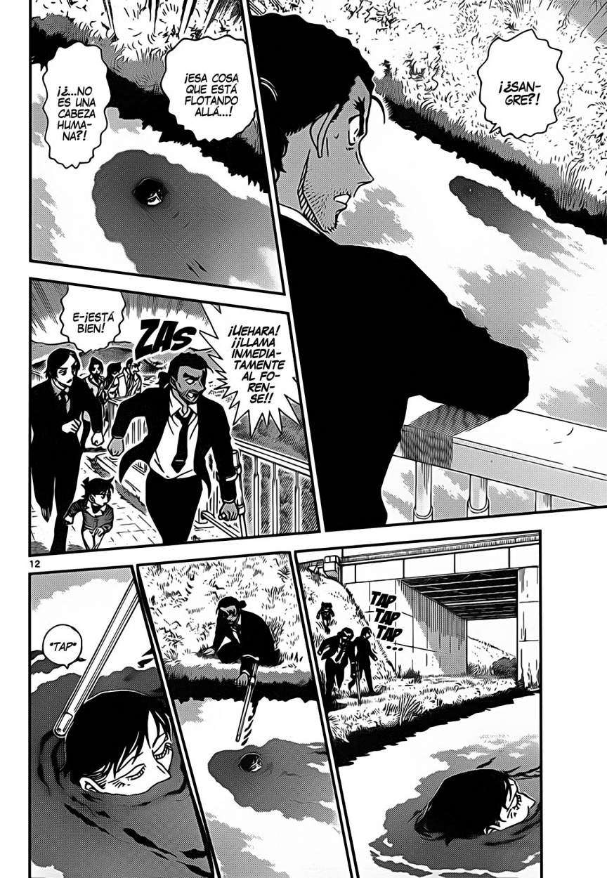Detective Conan Capitulo 913: Pájaro Carpintero página 13
