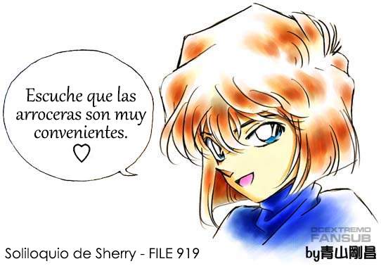 Detective Conan Capitulo 919: Foto página 18
