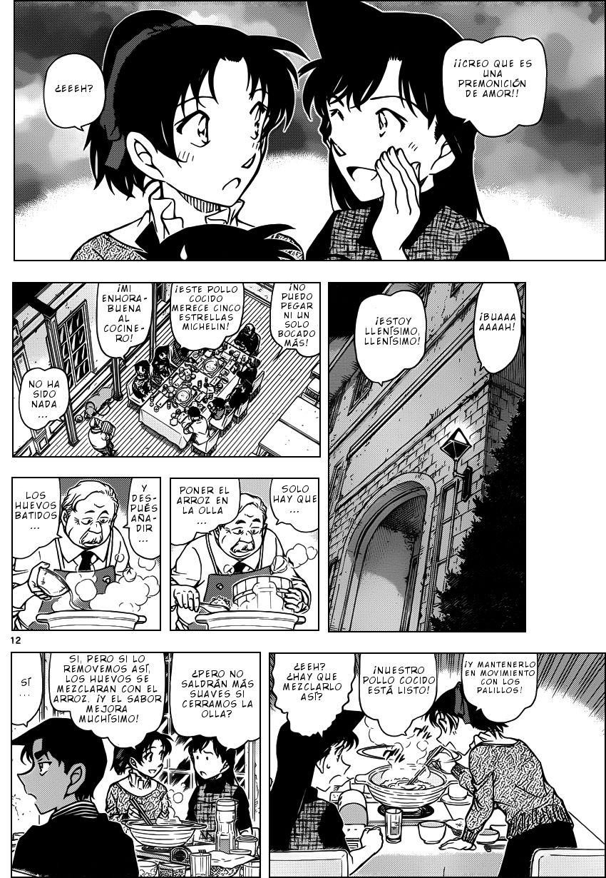 Detective Conan Capitulo 958: La bestia de la villa Yadori página 13